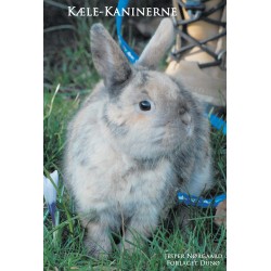 Kæle-kaninerne