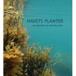Havets planter: på oplevelse i en ukendt verden