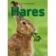 Hares