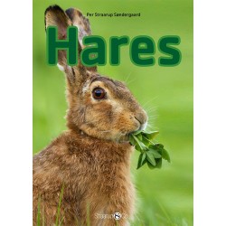 Hares