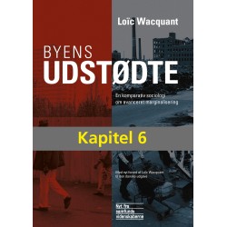Stigma og opdeling: Fra Chicagos kerne til Paris  yderområder