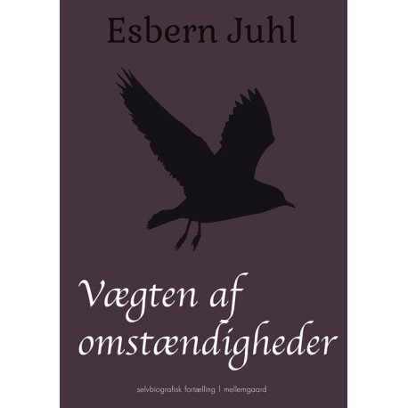 Vægten af omstændigheder