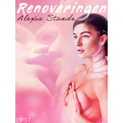 Renoveringen - erotisk novell
