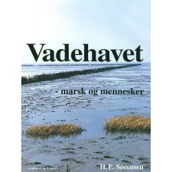 Vadehavet