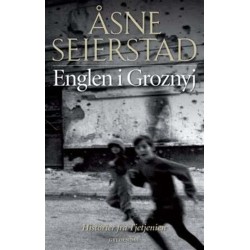Englen i Groznyj: Historier fra Tjetjenien