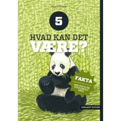 Hvad kan det være? 5