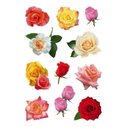 Herma stickers Decor roser (3)