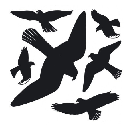 Herma stickers Home advarselsfugl sort (6)