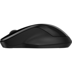 HP 250 Dual Wireless Mouse (Consumer)