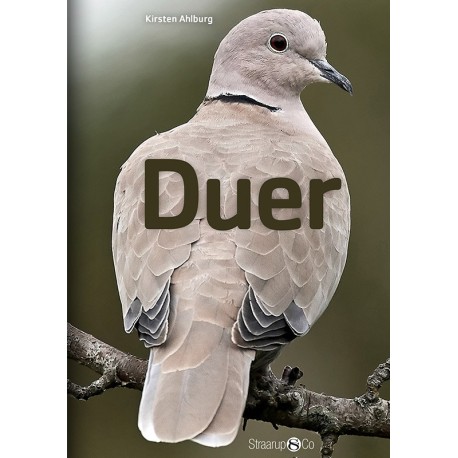 Duer