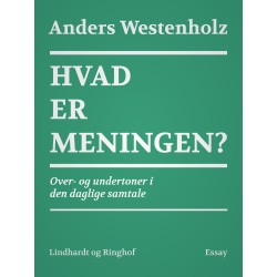 Hvad er meningen? Over- og undertoner i den daglige samtale