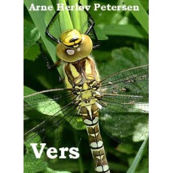 Vers
