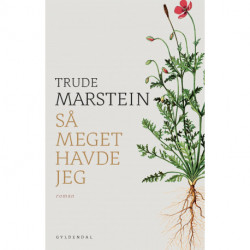 Så meget havde jeg