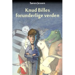 Knud Billes forunderlige verden