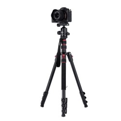 ROLLEI Compact Traveler No. 2