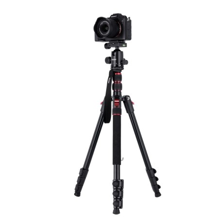 ROLLEI Compact Traveler No. 2