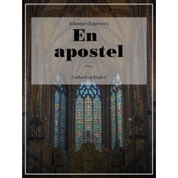 En apostel