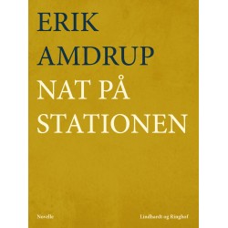 Nat på stationen