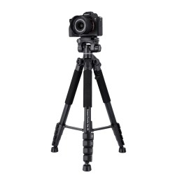 ROLLEI Compact Traveler StarS4