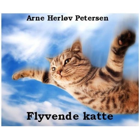 Flyvende katte