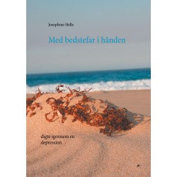 Med bedstefar i hånden: digte igennem en depression