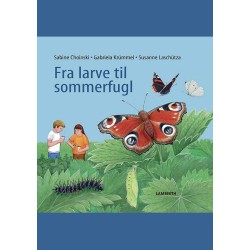 Fra larve til sommerfugl