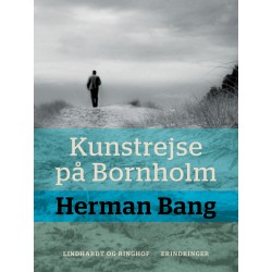 Kunstrejse på Bornholm