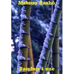 Bambus i sne