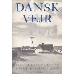 Dansk vejr