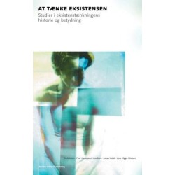 At tænke eksistensen: Studier i eksistenstænkningens historie og betydning