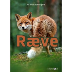 Ræve
