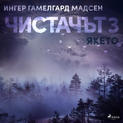 Чистачът 3: Якето