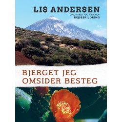 Bjerget jeg omsider besteg