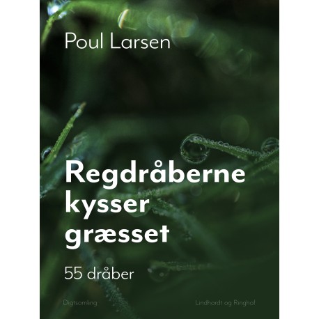 Regndråberne kysser græsset