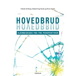 Hovedbrud: – hjerneskade fra tre perspektiver