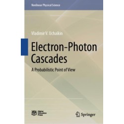 Electron-Photon Cascades: A Probabilistic Point of View