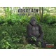 Gorillaen: Verdens vilde dyr