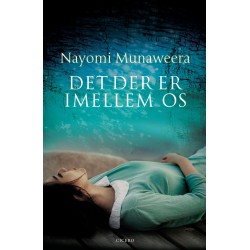 Det der er imellem os