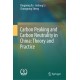 Carbon Peaking and Carbon Neutrality in China: Theory and Practice