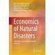 Economics of Natural Disasters: A Machine-generated Literature Overview