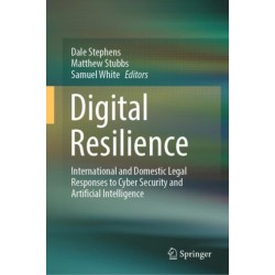 Digital Resilience: International and Domestic Legal Responses to Cyber Security and Artificial Intelligence
