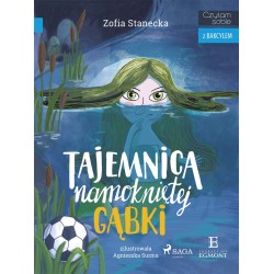 Tajemnica namokniętej gąbki