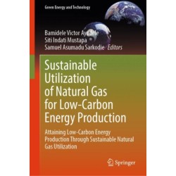 Sustainable Utilization of Natural Gas for Low-Carbon Energy Production: Attaining Low-Carbon Energy Production Through Sustainable Natural Gas Utilization