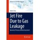 Jet Fire Due to Gas Leakage: Dynamical Theory and Risk Assessment
