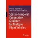 Spatial-Temporal Cooperative Guidance for Multiple Flight Vehicles