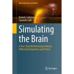 Simulating the Brain: A Four-Step Method Using Ordinary Differential Equations and Python