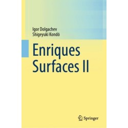 Enriques Surfaces II