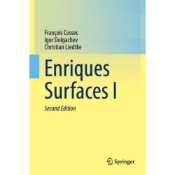 Enriques Surfaces I