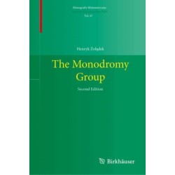 The Monodromy Group