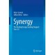 Synergy: The Healing Energy Guiding Stepped Care 2.0